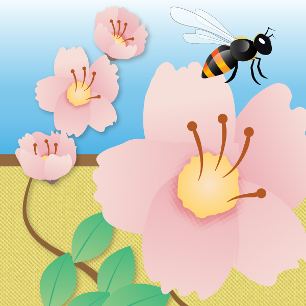 Plant Reproduction